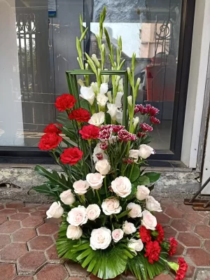 Bloom Buddies Carnation