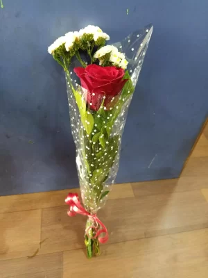 Single Red Rose with White Fillers