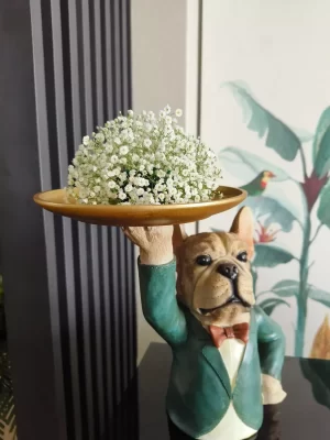 Elegant House Function Arrangement