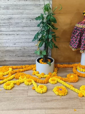 Elegant House Function Arrangement
